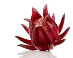 hibiscus dari albatha herbal nusantara untuk cardiomed