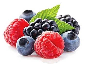berbagai buah berry untuk kesehatan
