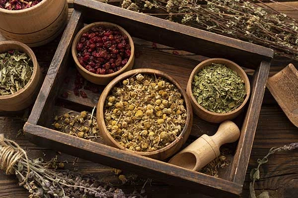 manfaat dan khasiat herbal sebagai kesehatan di albatha herbal nusantara