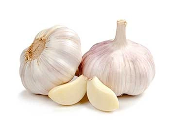 bawang putih salah satu obat herbal penurun tekanan darah tinggi