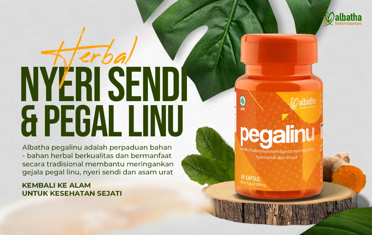 albatha pegalinu adalah obat asam urat herbal yang terbuat dari bahan alami